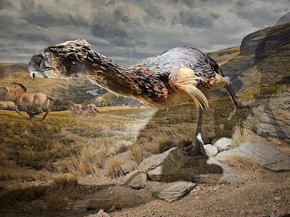 Ancient Ozarks Natural History Museum photo 6