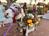 Nettie's Party Pals photo 3