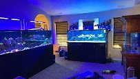 Salty Fins Saltwater Aquarium store photo 2