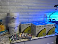 Salty Fins Saltwater Aquarium store photo 5