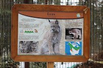 Lynx Exhibit photo 2