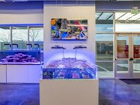 Aquatic Dreams NSL photo 4