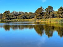 Frisco Commons Park photo 4