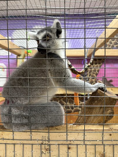 PAWsitively Wild Animal Encounters