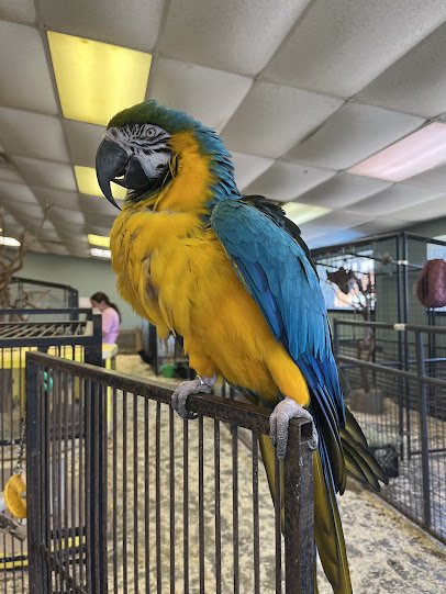 PAWsitively Wild Animal Encounters photo 4