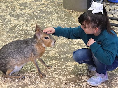 PAWsitively Wild Animal Encounters photo 5
