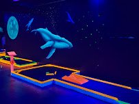 Daytona Glow Golf (formerly D&D Blacklight) photo 5