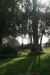 C.B. Smith Park photo 5