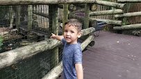 Palm Beach Zoo & Conservation Society photo 2