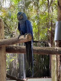 Palm Beach Zoo & Conservation Society photo 4