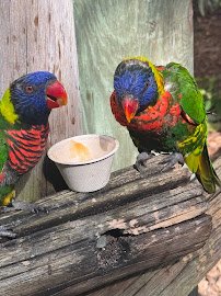 Palm Beach Zoo & Conservation Society photo 6