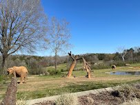 Elephant Exhibit photo 3