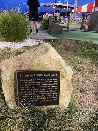 Hamptons Mini Golf photo 5
