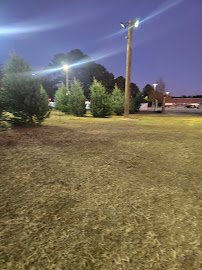 Skateland USA photo 6