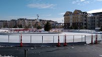 Central Park Ice Skating Loop photo 2
