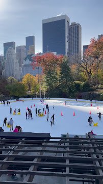 Central Park Ice Skating Loop photo 3