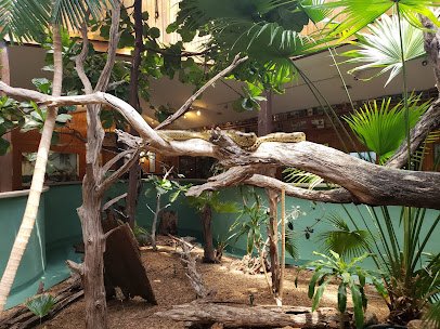 Edisto Island Serpentarium photo 3