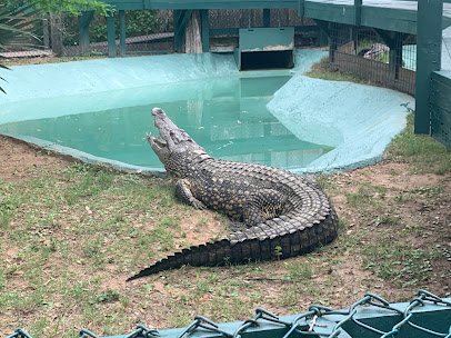 Edisto Island Serpentarium photo 4