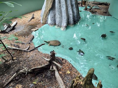 Edisto Island Serpentarium photo 6