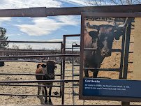 New Mexico Farm & Ranch Heritage Museum photo 6