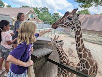 Metro Richmond Zoo photo 3