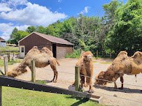 Metro Richmond Zoo photo 5