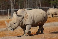 Metro Richmond Zoo photo 5