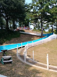 Popee's Cajun Water World photo 2