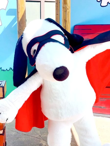 Camp Snoopy photo 3