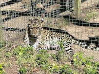 Zoo in Forest Park and Education Center