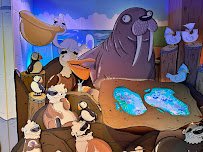 The Portland Aquarium: Presented by Mike Bennett Studios photo 4