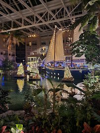 Gaylord Palms Waterpark photo 5