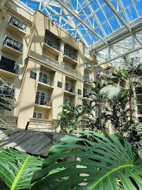 Gaylord Palms Waterpark photo 6