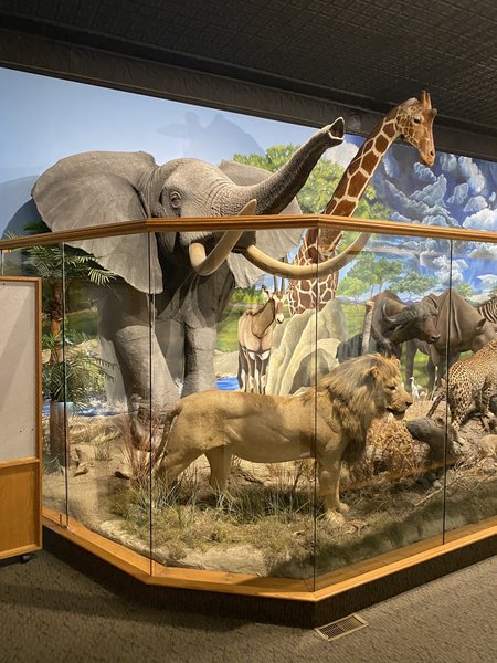 Dacotah Prairie Museum photo 3