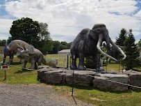 Gold Rush Adventure Golf photo 5