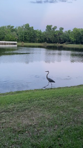 Port Orange Museum photo 2