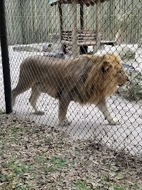 River Ranch Water Park photo 4