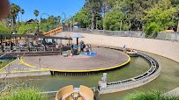 White Water Safari photo 2