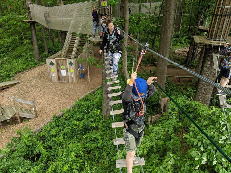 Go Ape Zipline and Adventure Park photo 3
