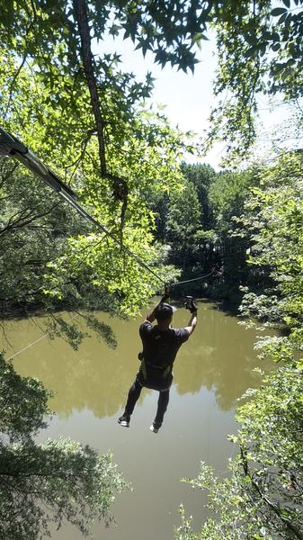 Go Ape Zipline and Adventure Park photo 6