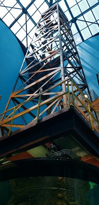 Aquarium At Moody Gardens photo 2