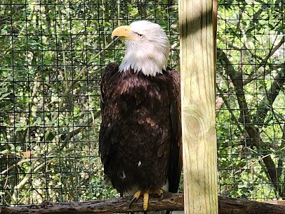 Lowcountry Zoo