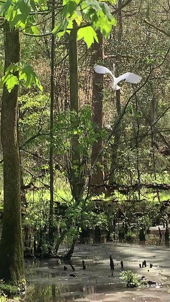 Lowcountry Zoo photo 2