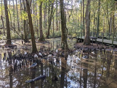 Lowcountry Zoo photo 4