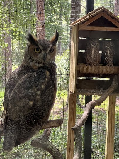 Lowcountry Zoo photo 6