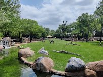Ticket Booth at Fort Worth Zoo photo 4