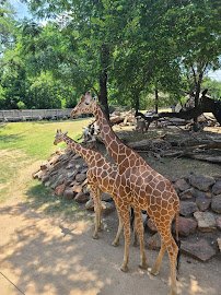 Ticket Booth at Fort Worth Zoo photo 5