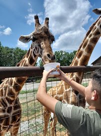 Lazy 5 Ranch photo 3