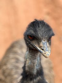 Lazy 5 Ranch photo 5