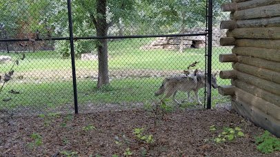 Menominee Park Zoo photo 2